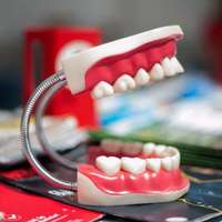 Become Wiser Around Your Wisdom Teeth