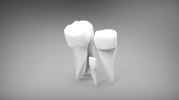 Make the Most of Your Insurance When You Visit your Family Dentist in Toronto