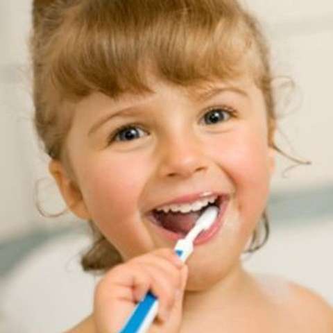 Why You Should Choose QQ Dental as Your Family Dentist in Toronto Why You Should Choose QQ Dental as Your Family Dentist in Toronto