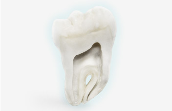 Dental Emergencies